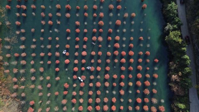 湖州换上初冬“限定皮肤”