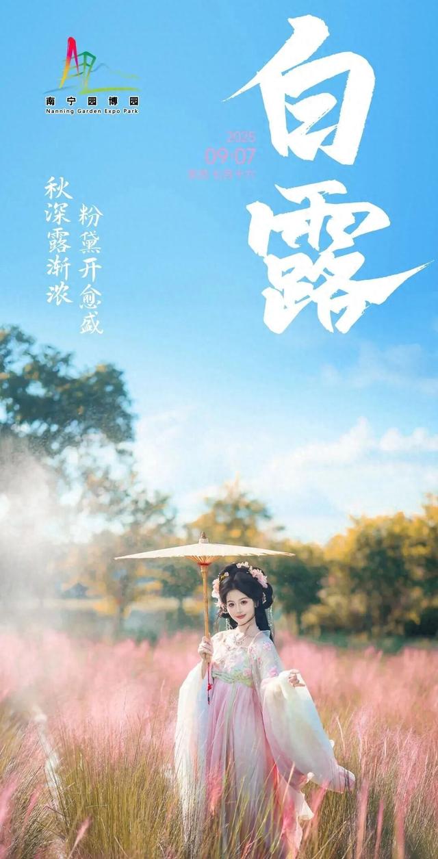 白露 | 秋深露渐浓，粉黛开愈盛