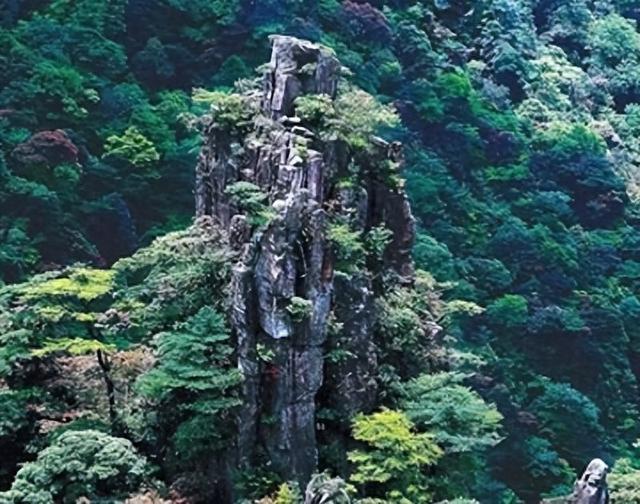 湘南荒山野岭火到韩国！本地人都少去，韩媒却眼红