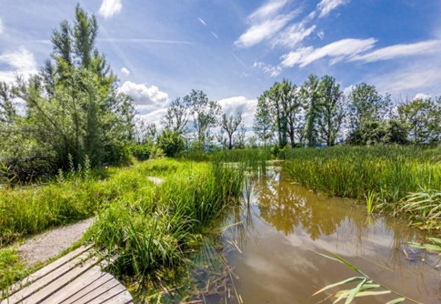 贵州首个国家级湿地公园，被誉为“天然氧吧”，风景美如画