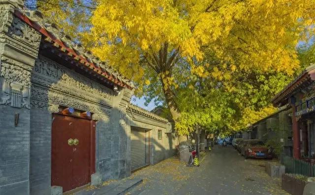 来北京赏秋,太推荐这个地方了,人少景美还免费,值得一去
