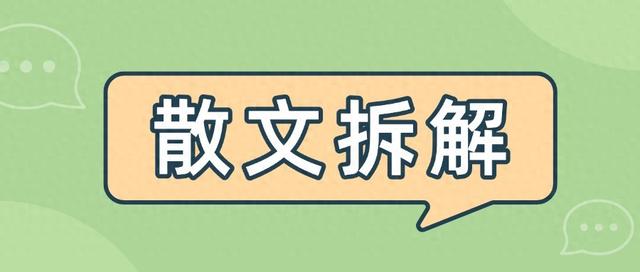 电脑之家下载