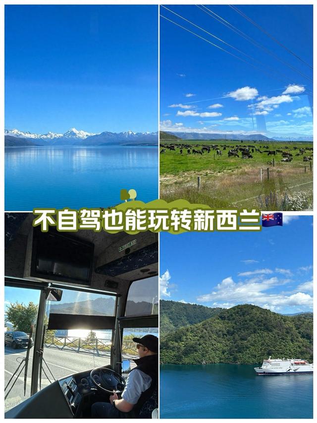 新西兰环岛15天自驾！放弃攻略随遇而安陌生人的善意比风景更戳心