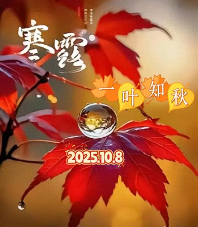 今日寒露，好运到，祝福到！