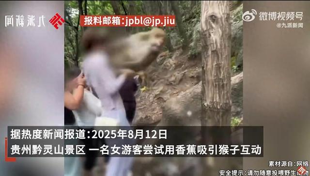 官方回应女子用香蕉吸引猴子被踢：正在处理
