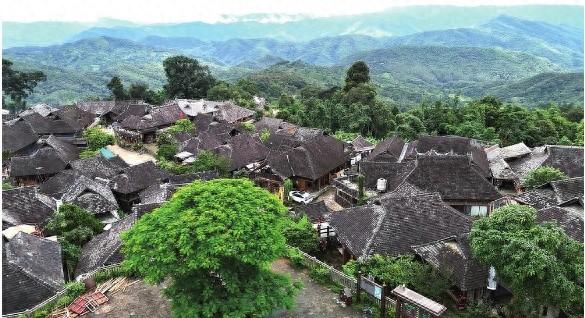 景迈山：茶山云海引客来