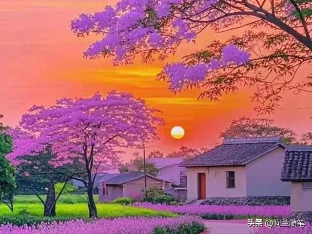 华为应用市场