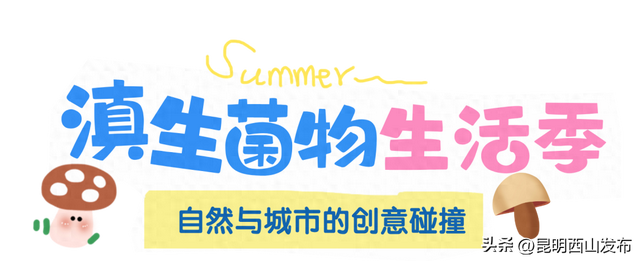 湖畔西山 清凉一夏 | 2025昆明“滇生菌物生活季”启幕，西山商文旅消费盛宴全面开启