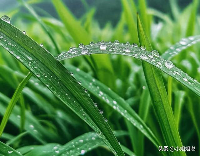 不是迷信！明日八月初一，老话“八月怕初一”，有啥讲究？早了解