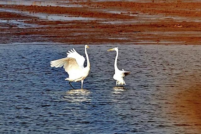 “十四五”旅游新答卷丨五大国家文化公园建设如火如荼