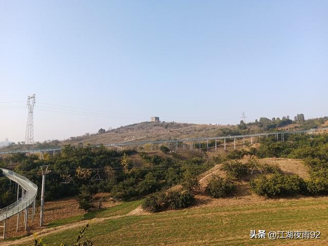 邓州韩营千年古柏，守望着禹庙和数万乡亲奋战过的引丹会战旧址