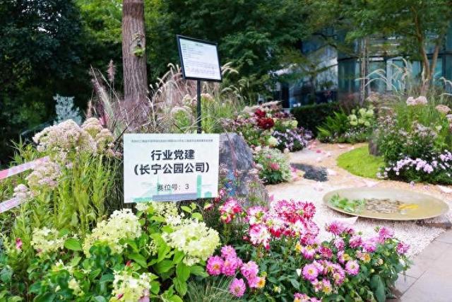 北外滩有新“花”样！上新38组花境，可观赏到11月中旬