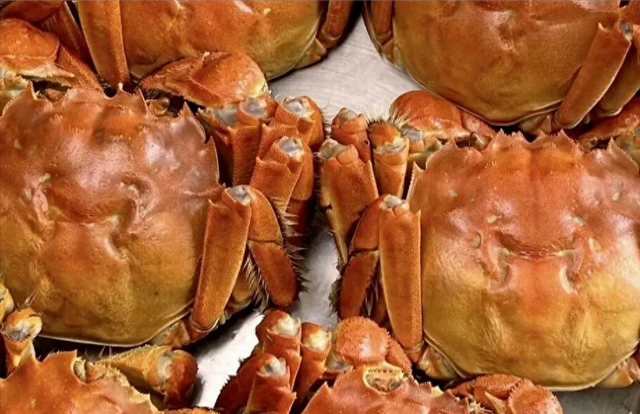 蒸螃蟹，冷水还是热水下锅？蒸多久？记5个要点螃蟹不流黄不掉腿