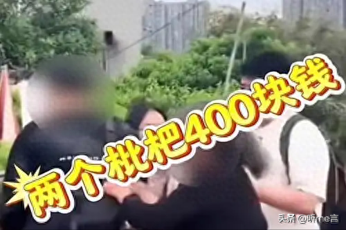 被全网群嘲的“涠洲岛20元停车费”，撕开当下社会最病态的现象
