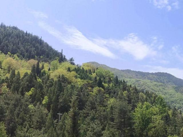 深山藏翡翠秘境！这片山水把夏日浪漫展现