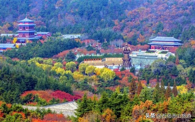 别再问赤山红叶什么时候最红！这趟“山海秋礼”才是真浪漫