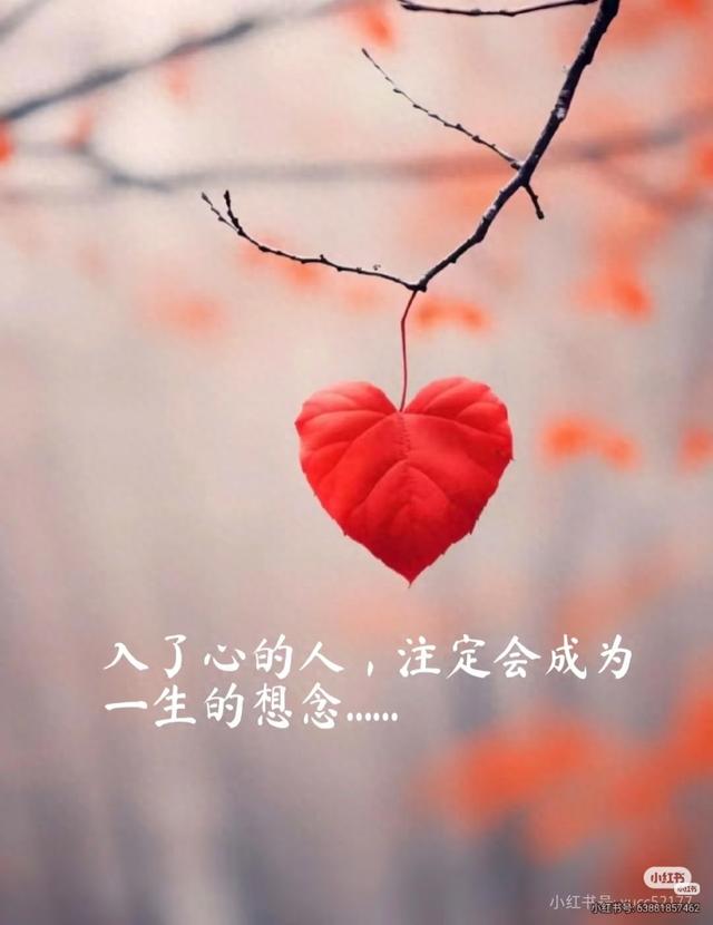 想念你想念你的温柔是什么歌（我在雨中想你）