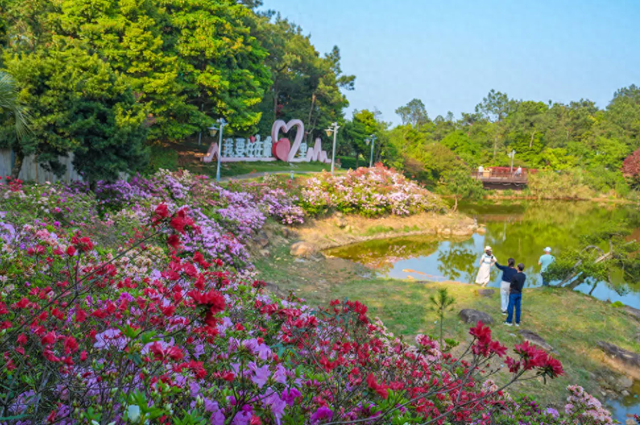 姹紫嫣红！福州进入春日高颜值时刻！