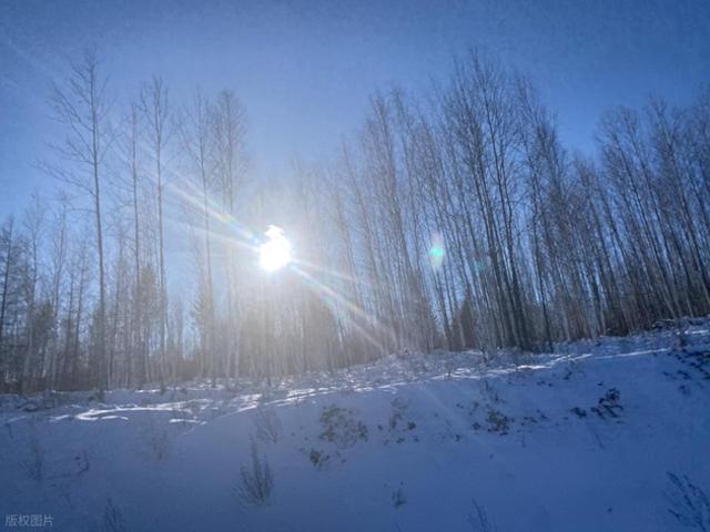 强烈建议！12 月一定要去一次漠河！不愧是中国必看雪景之一！