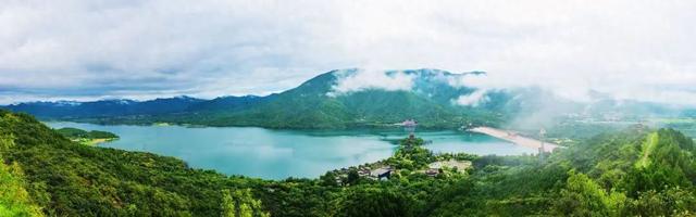 一半森林一半城