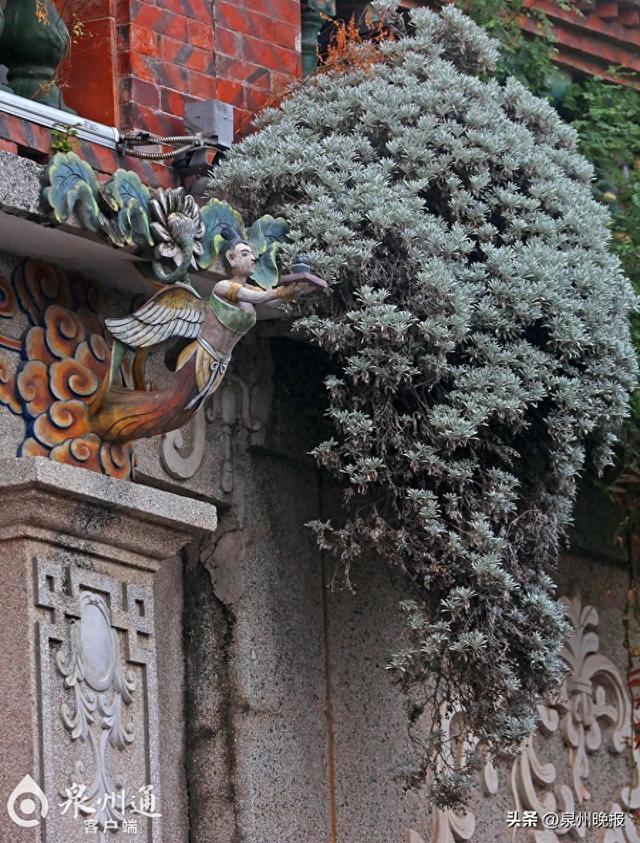 请抬头，给你好看！燕尾脊、剪瓷雕与山花勾勒古城“空中艺术长廊”