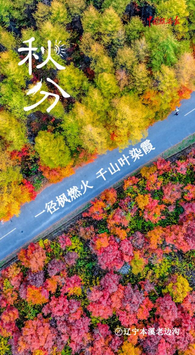 秋分丨寻色山河间 揽盈满秋实