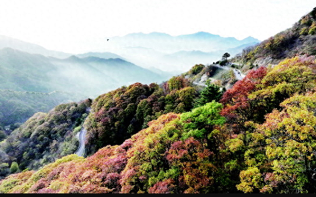 层林染秋意 赏秋正当时