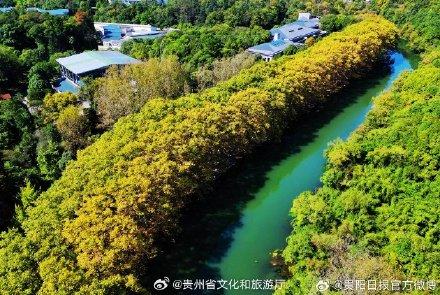 快看，贵阳黄金大道披金甲啦