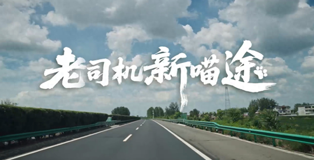 超强续航+星小辰终端智能体，麦芒40守护猫王与大冰的圆梦之旅