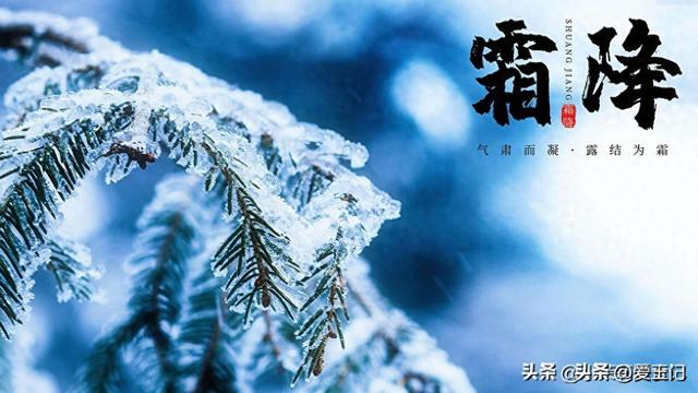 “上午霜降，单衣过冬；下午霜降，冻死老牛”，今年霜降在啥时候