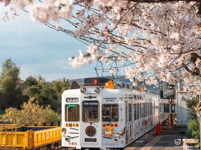 青春18きっぷ：日本铁道慢旅行的灵魂与艺术