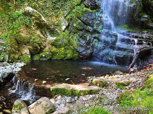 西安人的夏日消暑指南,黑河的清凉山水比空调更治愈→