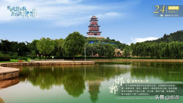 这么近 那么美 周末到河北——邯郸·曲周龙海公园