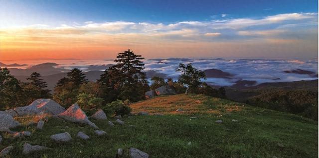 清凉白山 优享盛夏