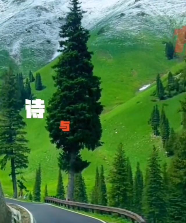 伊犁这波美景杀疯了！抖音热榜第一的“诗与远方”原来长这样