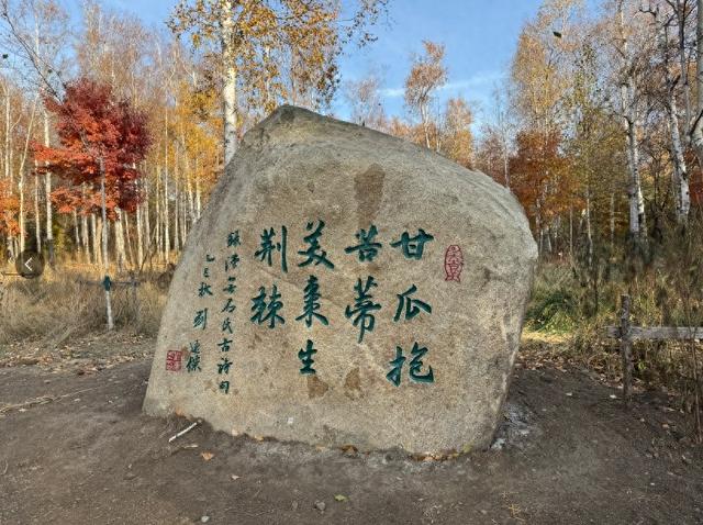 南湖公园上新了！开放时间→