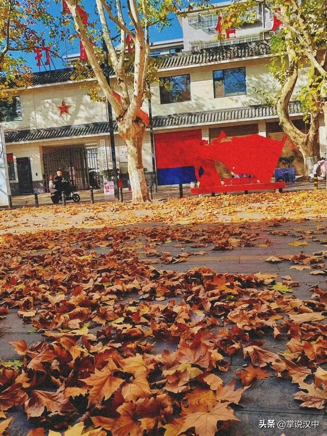 落叶有情！让汉中的秋天再“飞”一会 →