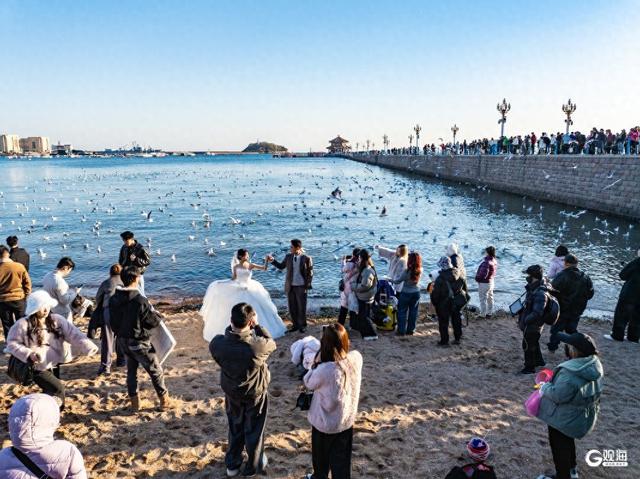 青岛冬日的海，是这座城市的浪漫注脚