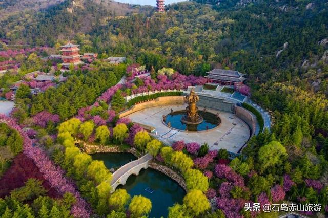 植树节 | 今日播绿，明日赴一场赤山的山海之约