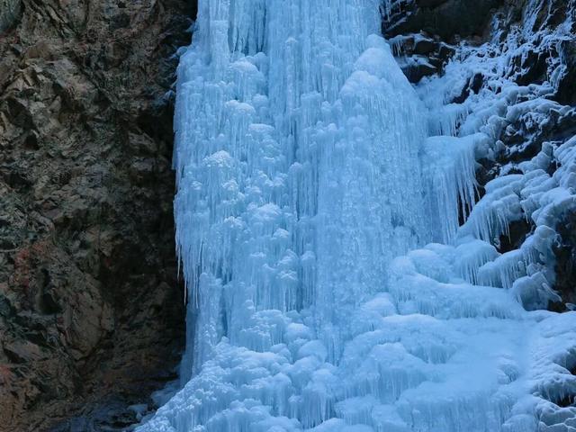 太美啦！包头一地进入最佳观赏期！