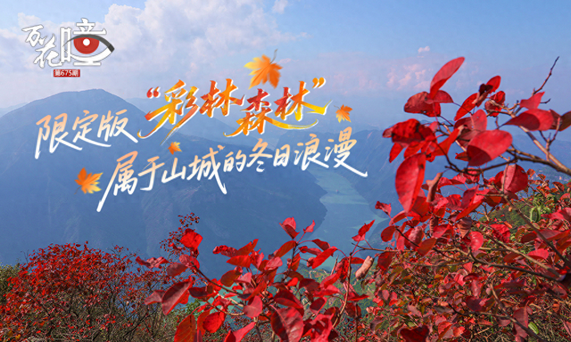 万花瞳｜限定版“彩林森林” 这是属于山城的冬日浪漫