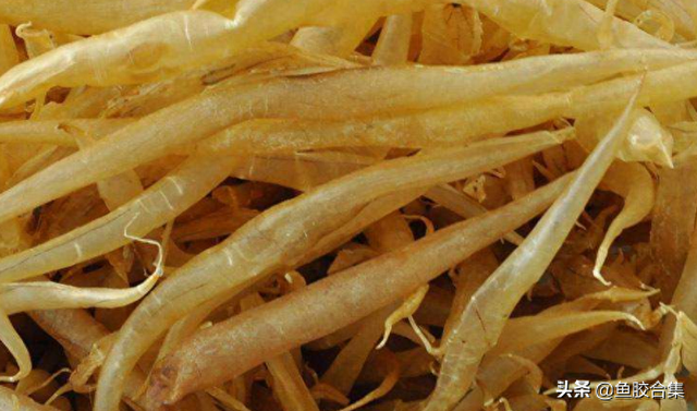 鳗鱼胶 花胶 2025年鳗鱼胶和花胶的区别