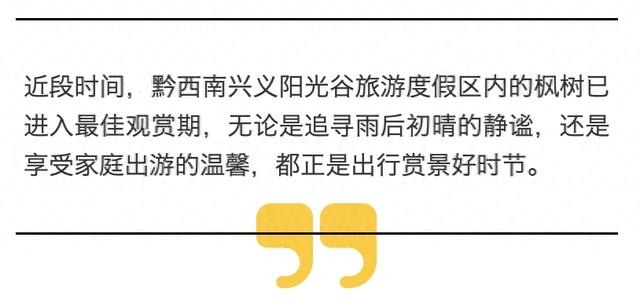 黔西南兴义：“枫”景如画 红枫赏叶正当时