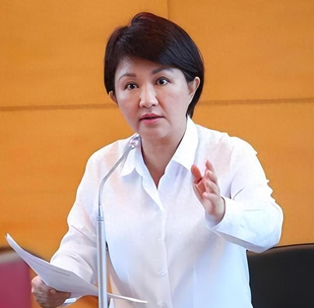 国民党选情炸了！卢秀燕王金平明着偏郑丽文，郝龙斌“酱缸”悬了