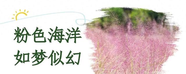 粉了！粉了！这一波华容“圈”粉了！