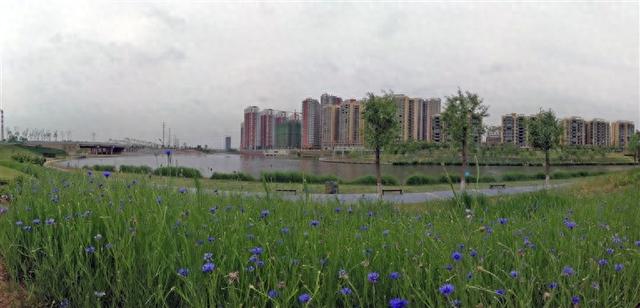 我歌唱每一条河