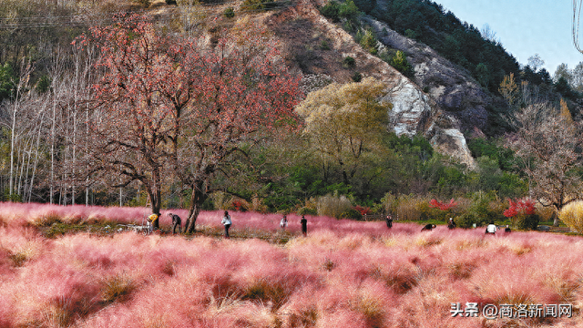 商洛秋日多绚烂