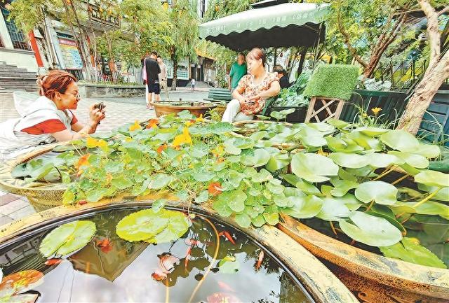 哈尔滨市道外区中华巴洛克历史文化街区：街景持续上新 游客打卡不断