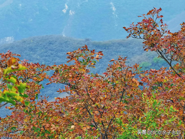 北京新修好的步栈道，几乎没人知道