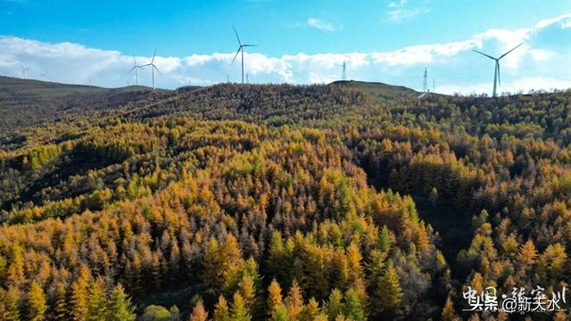 秋韵未歇：张家川山水的立冬回眸